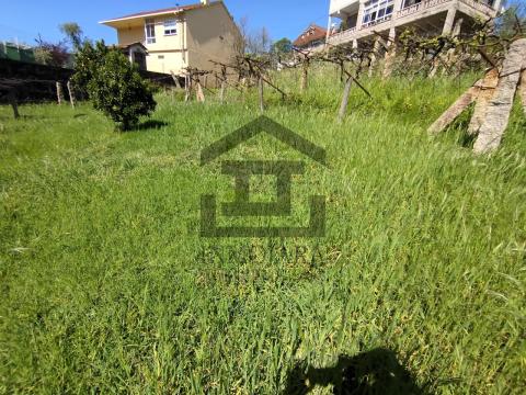 SE VENDE FINCA EDIFICABLE EN MOS